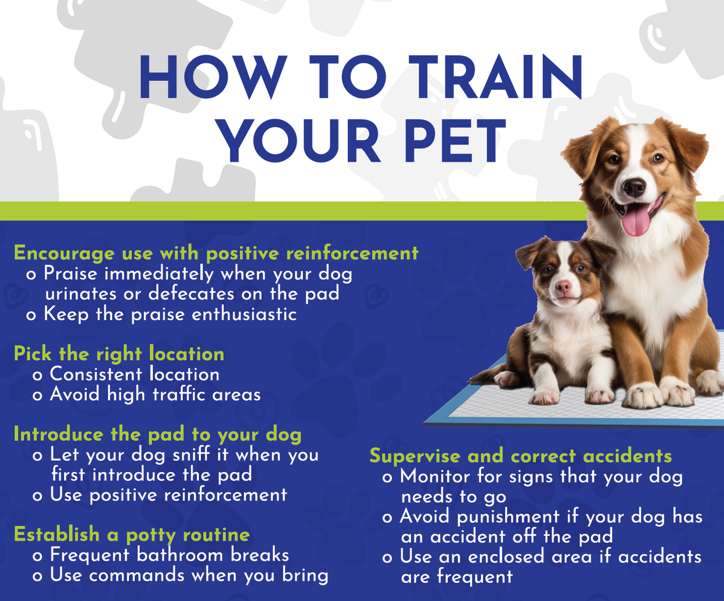 100 Count Ultra Absorbent Puppy Pet Training Pads 23” x 23”